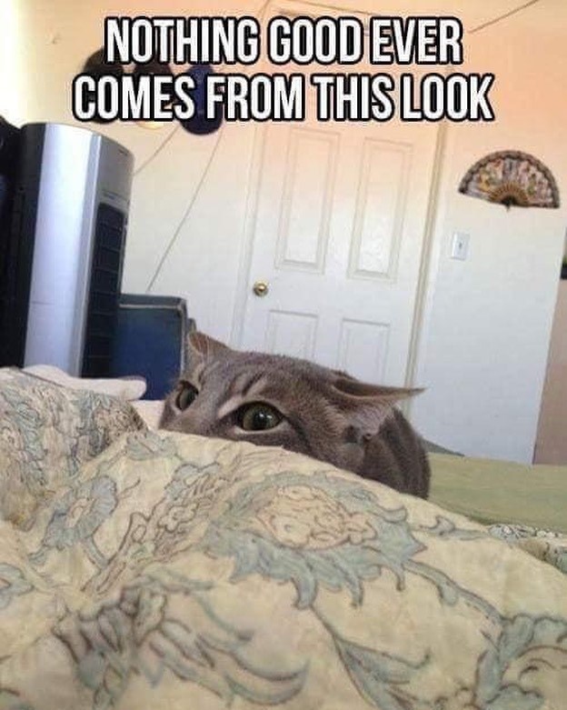 NOTHING GOOD EVER COMES FROM THIS LOOK