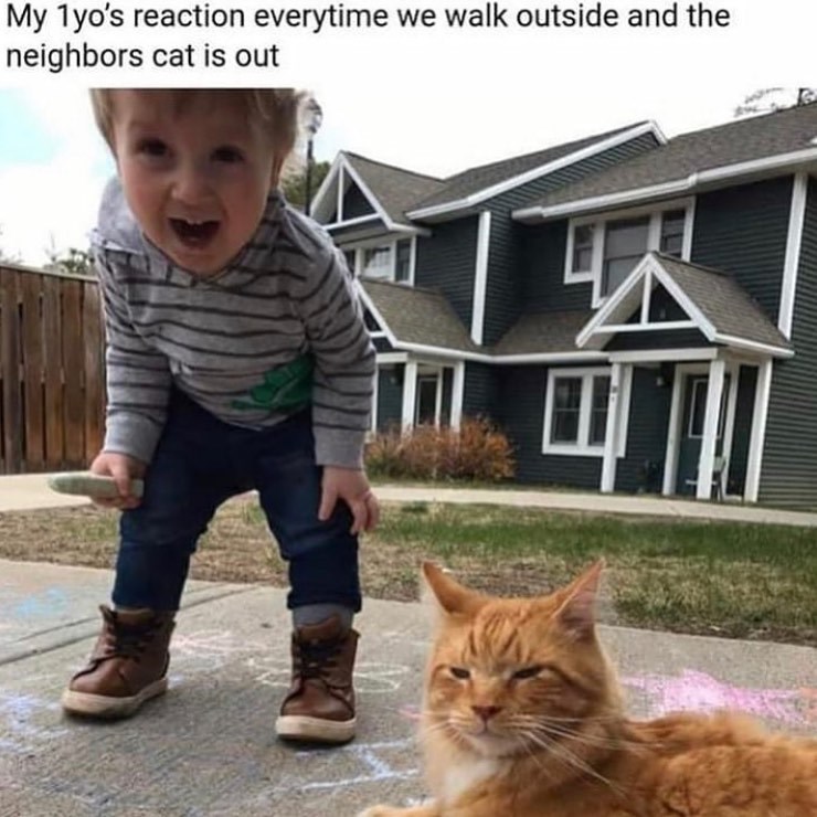 My 1 yo's reaction everytime we walk outside and the neighbors cat is out