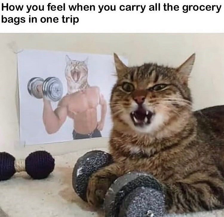 How you feel when you carry all the grocery bags in one trip