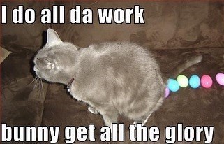I do all da work bunny get all the glory
