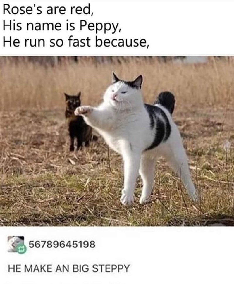 Rose's are red, His name is Peppy, He run so fast because, 56789645198 HE MAKE AN BIG STEPPY
