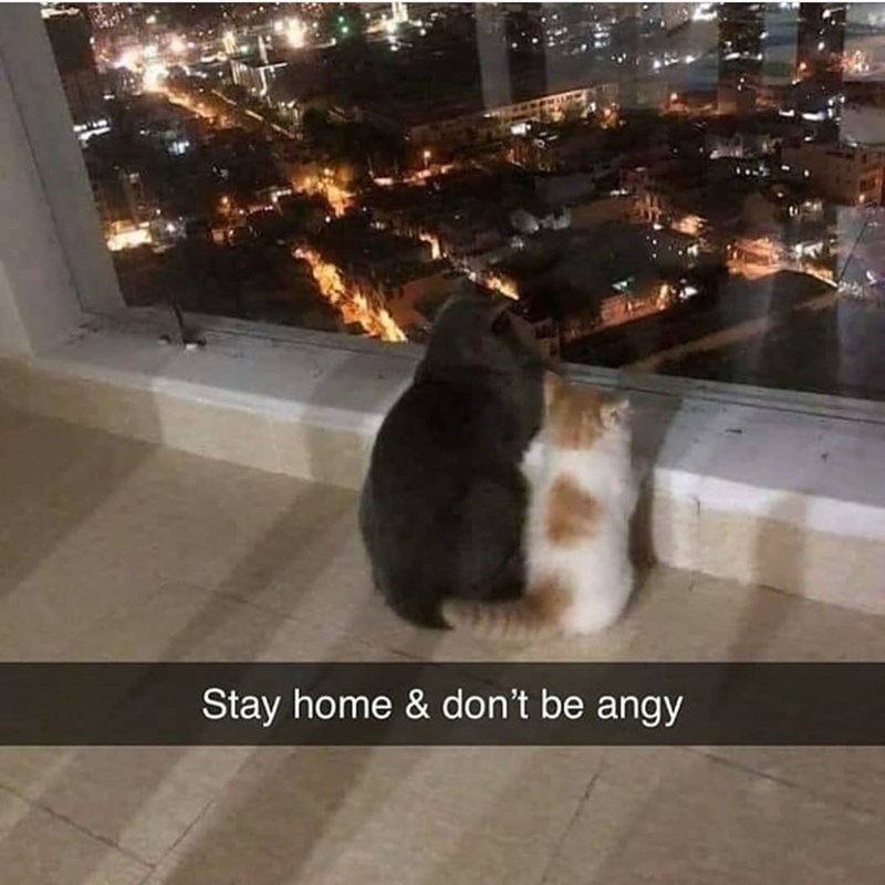 Stay home & don't be angy