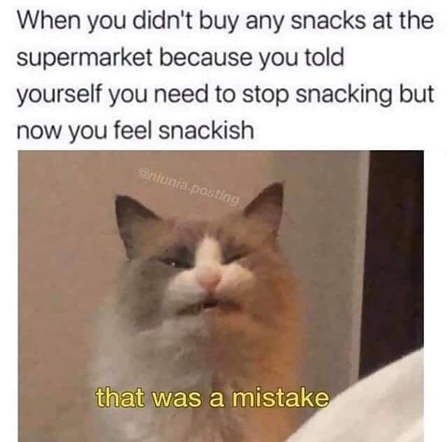 When you didn't buy any snacks at the supermarket because you told yourself you need to stop snacking but now you feel snackish Cnlunia.posting that was a mistake