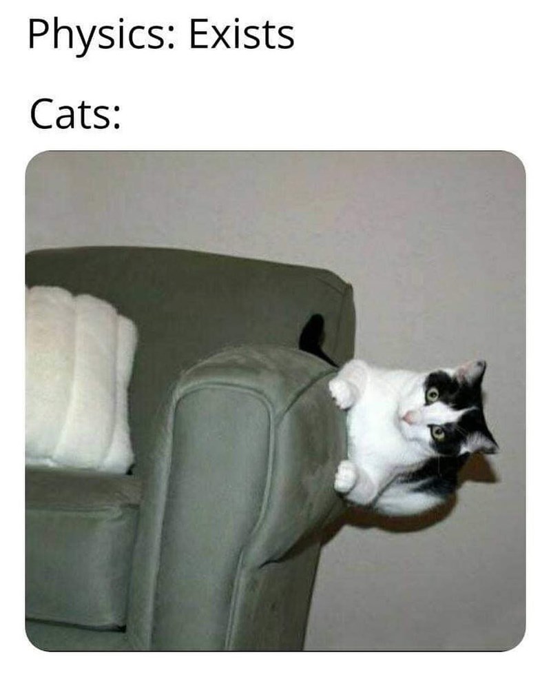 Physics: Exists Cats: