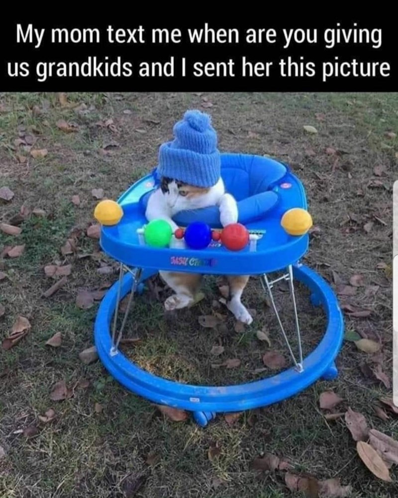 My mom text me when are you giving us grandkids and I sent her this picture SASH CH