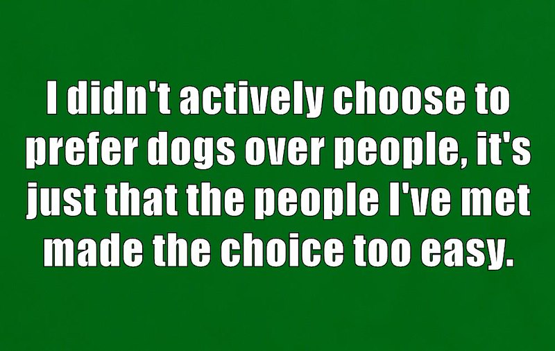 I didn't actively choose to prefer dogs over people, it's just that the people I've met made the choice too easy.