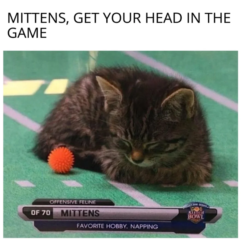 MITTENS, GET YOUR HEAD IN THE GAME OF 70 OFFENSIVE FELINE MITTENS FAVORITE HOBBY. NAPPING cos KITCH BOWL