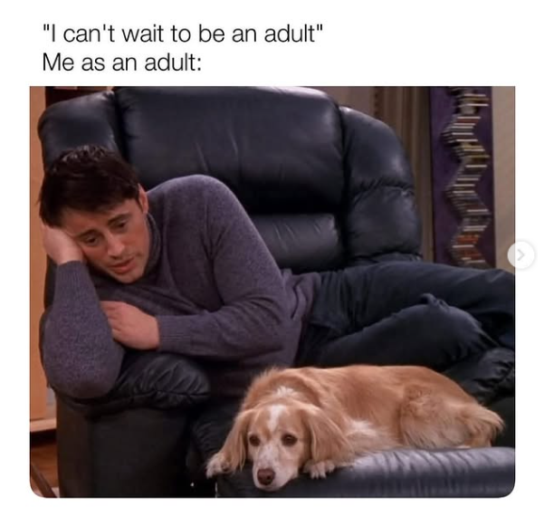 "I can't wait to be an adult" Me as an adult:
