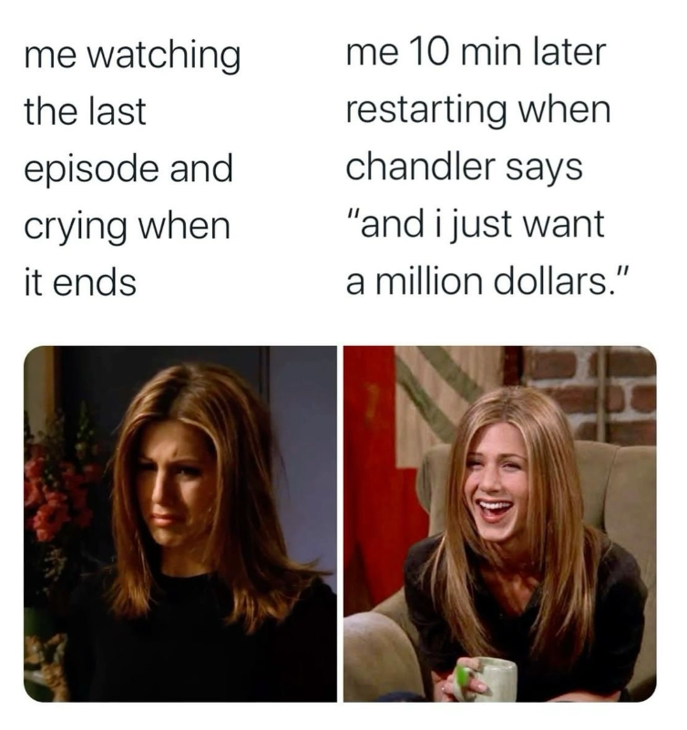 me watching the last episode and crying when it ends me 10 min later restarting when chandler says "and i just want a million dollars."