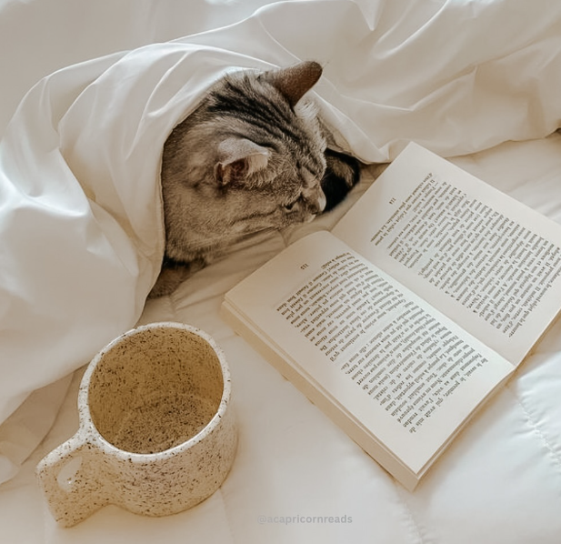 de les objet que le bure vix, avait da de Tout sellait soudain ** AY - - de Fumération (mais net alles de dies combien de tait pas la demie chose S Bolt bon da @acapricornreads