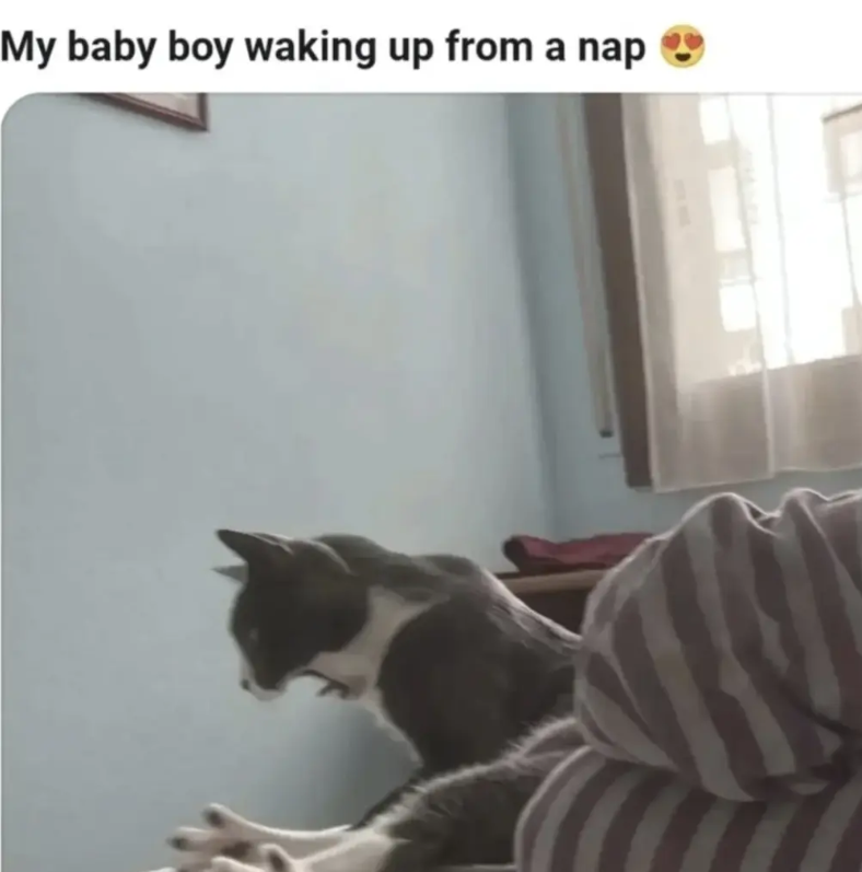 My baby boy waking up from a nap →