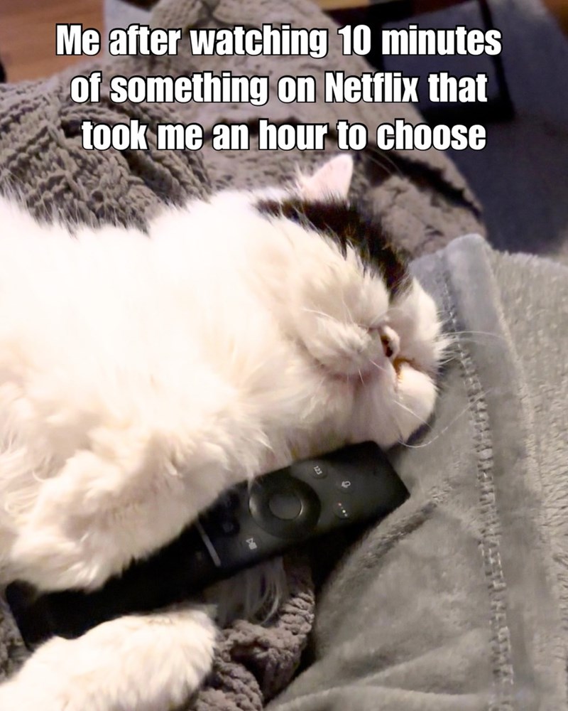 Me after watching 10 minutes of something on Netflix that took me an hour to choose