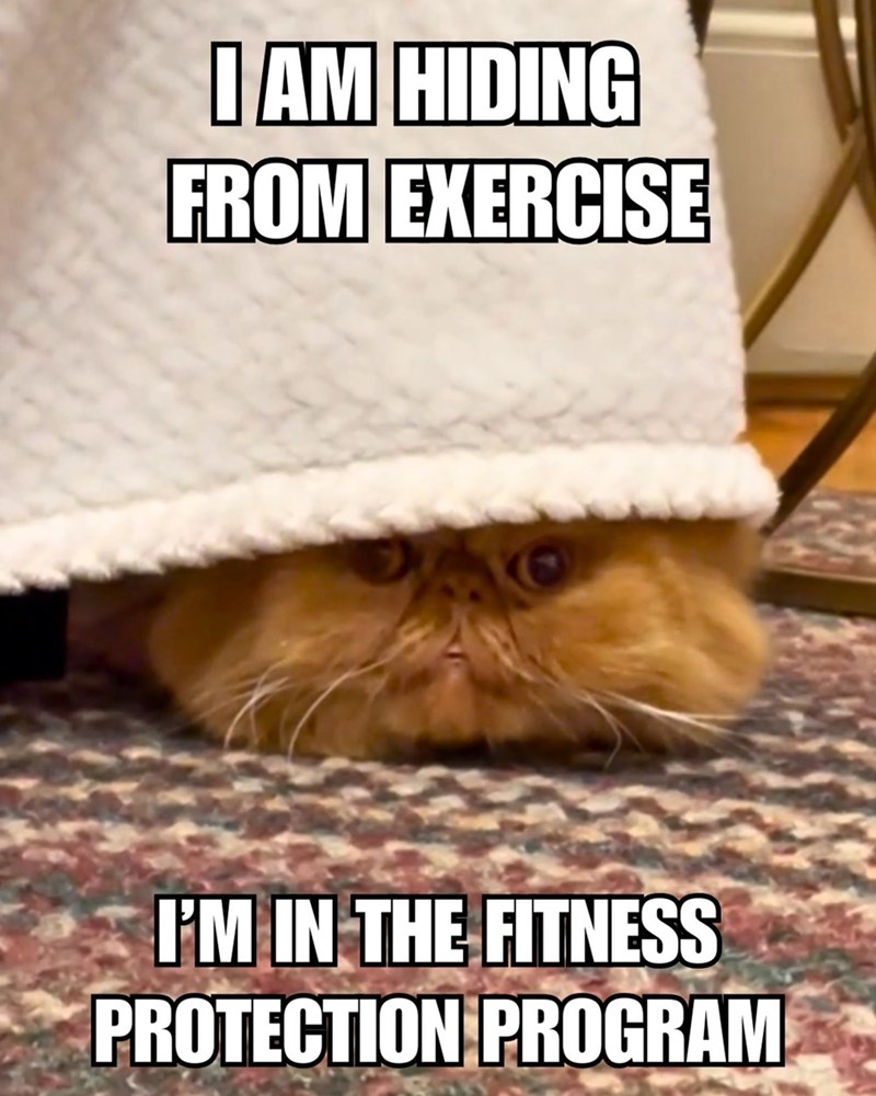 I AM HIDING FROM EXERCISE I'M IN THE FITNESS PROTECTION PROGRAM