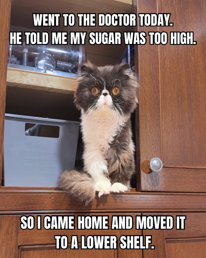 WENT TO THE DOCTOR TODAY. HE TOLD ME MY SUGAR WAS TOO HIGH. SO I CAME HOME AND MOVED IT TO A LOWER SHELF.