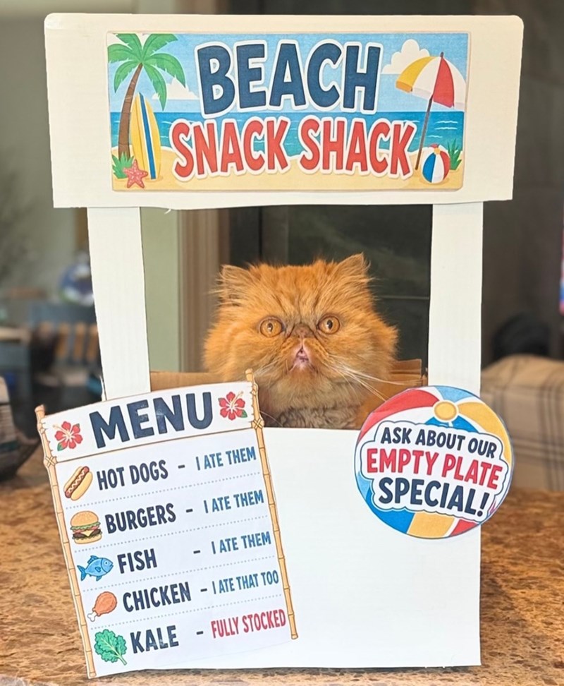 BEACH SNACK SHACK MENU⭑ HOT DOGS-IATE THEM BURGERS IATE THEM FISH I ATE THEM ASK ABOUT OUR EMPTY PLATE SPECIAL! wwwww CHICKEN IATE THAT TOO KALE FULLY STOCKED