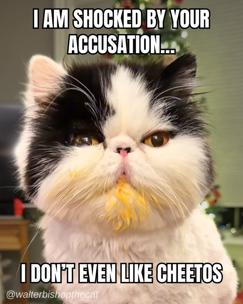 I AM SHOCKED BY YOUR ACCUSATION.... I DON'T EVEN LIKE CHEETOS @walterbishopthecat