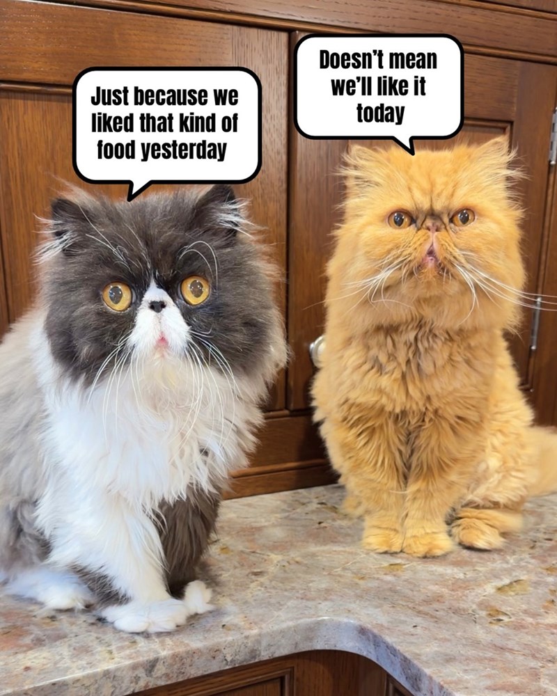 Just because we liked that kind of food yesterday Doesn't mean we'll like it today