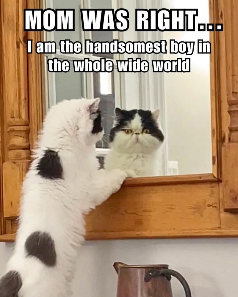 MOM WAS RIGHT... I am the handsomest boy in the whole wide world I