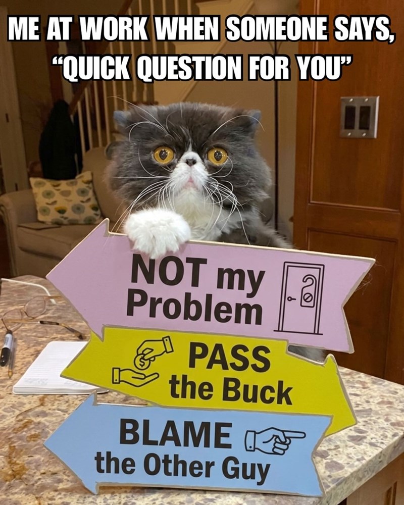 ME AT WORK WHEN SOMEONE SAYS, "QUICK QUESTION FOR YOU" NOT my 2 Problem & PASS the Buck BLAME the Other Guy