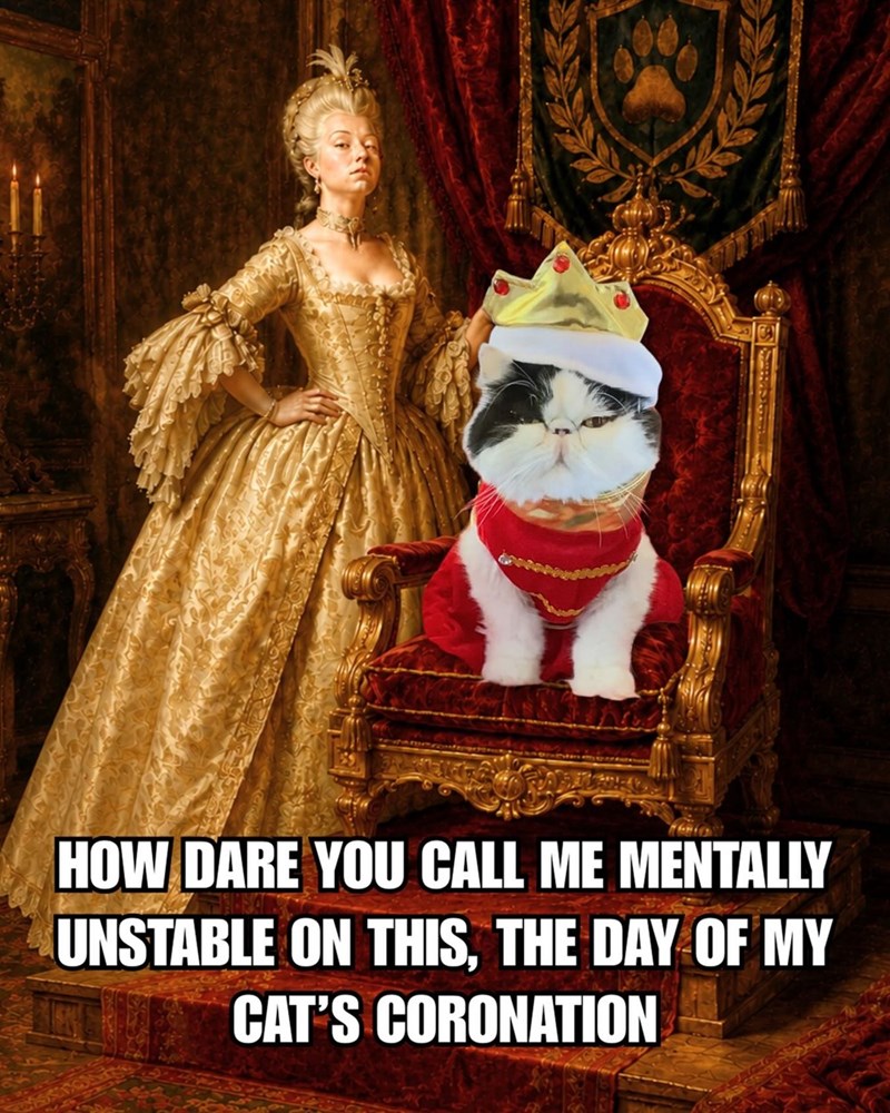 HOW DARE YOU CALL ME MENTALLY UNSTABLE ON THIS, THE DAY OF MY CAT'S CORONATION