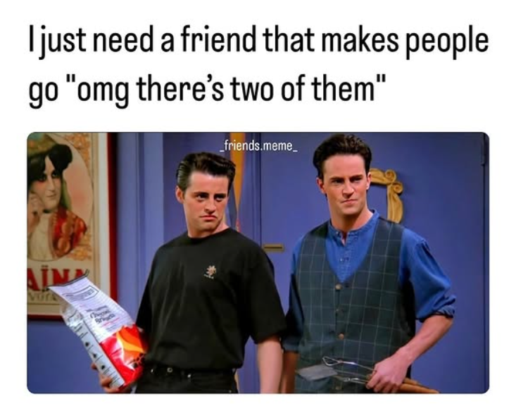 I just need a friend that makes people go "omg there's two of them" _friends.meme_