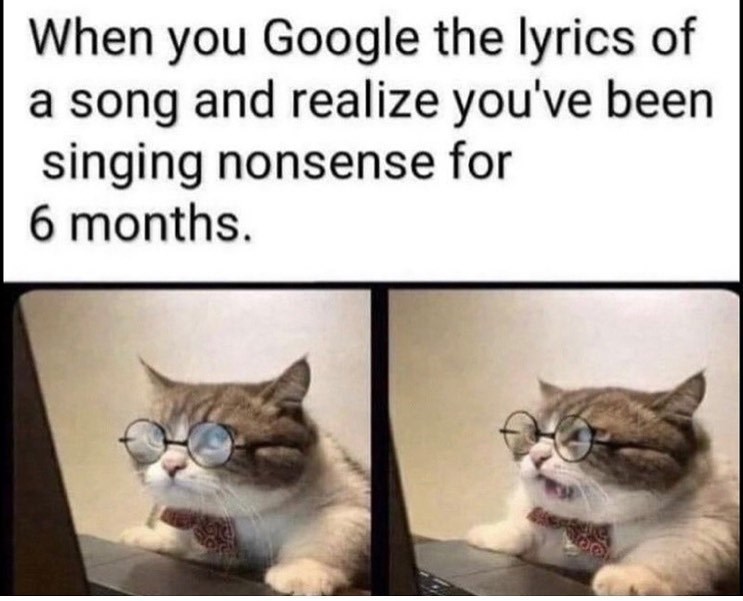 When you Google the lyrics of a song and realize you've been singing nonsense for 6 months.