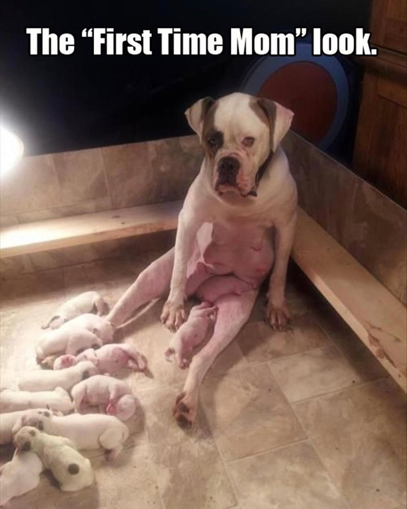 The “First Time Mom" look.