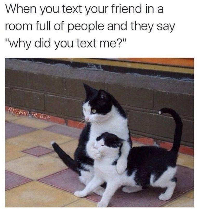 When you text your friend in a room full of people and they say "why did you text me?" @Friend of Bae