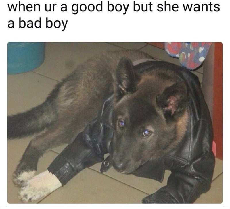 when ur a good boy but she wants a bad boy