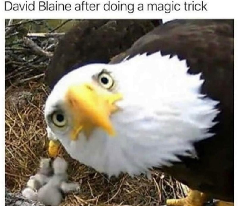 David Blaine after doing a magic trick