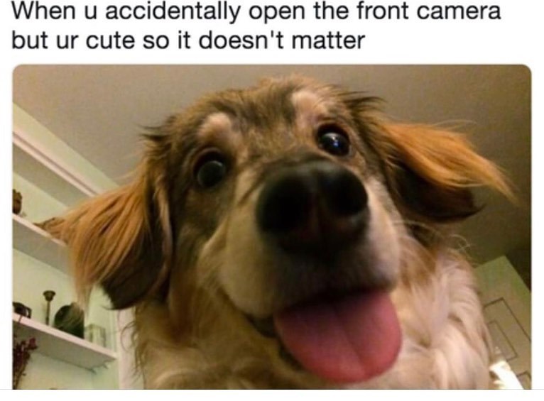 When u accidentally open the front camera but ur cute so it doesn't matter