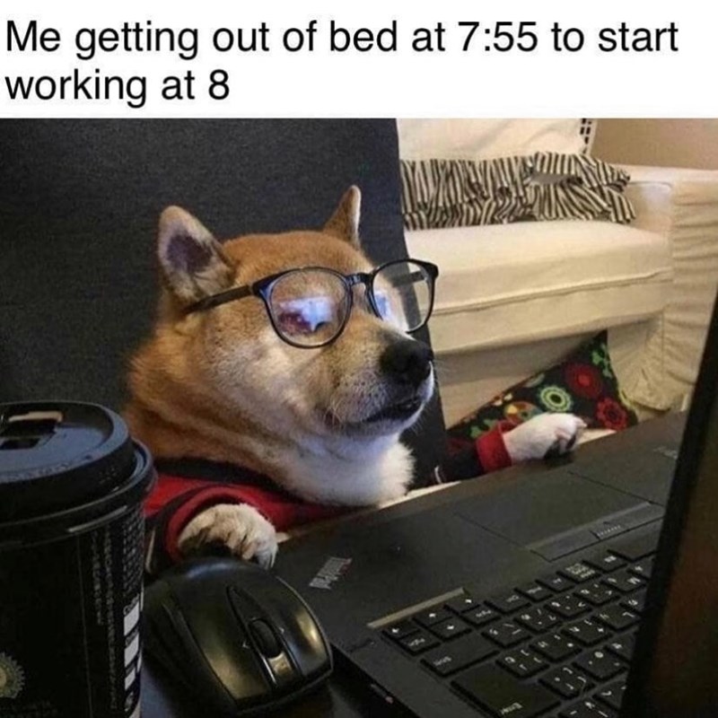 Me getting out of bed at 7:55 to start working at 8