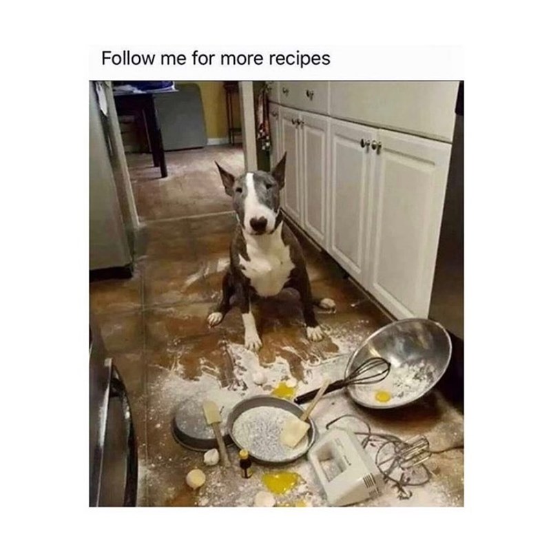 Follow me for more recipes