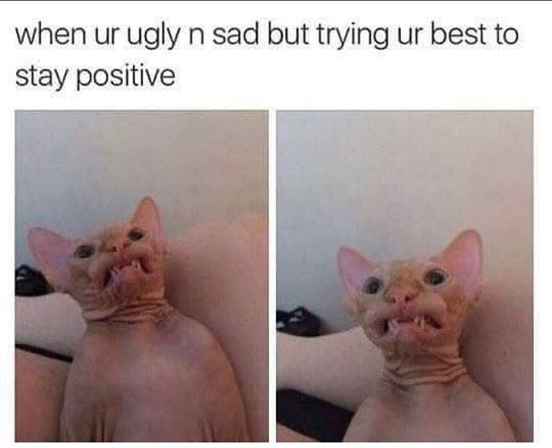 when ur ugly n sad but trying ur best to stay positive
