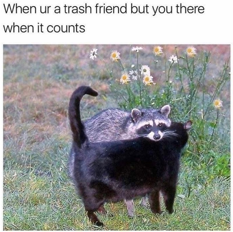 When ur a trash friend but you there when it counts