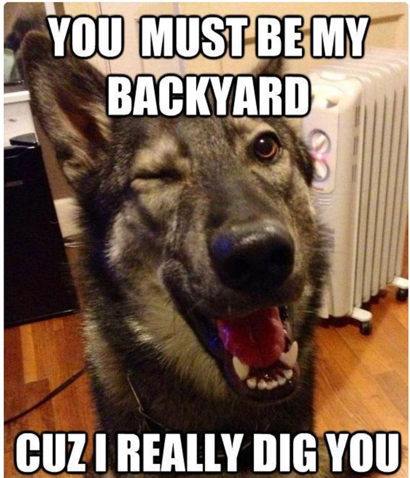 YOU MUST BE MY BACKYARD CUZ I REALLY DIG YOU