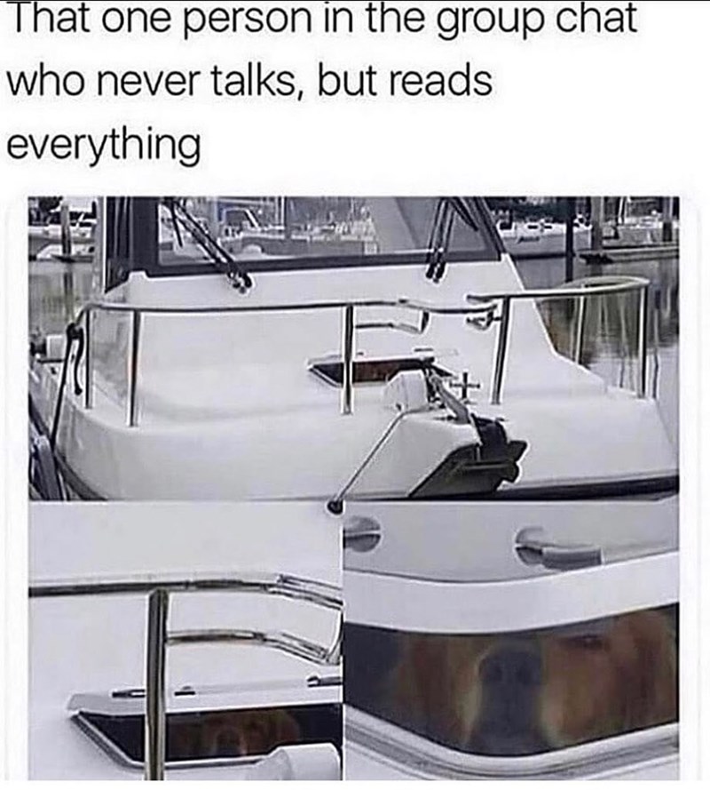 That one person in the group chat who never talks, but reads. everything