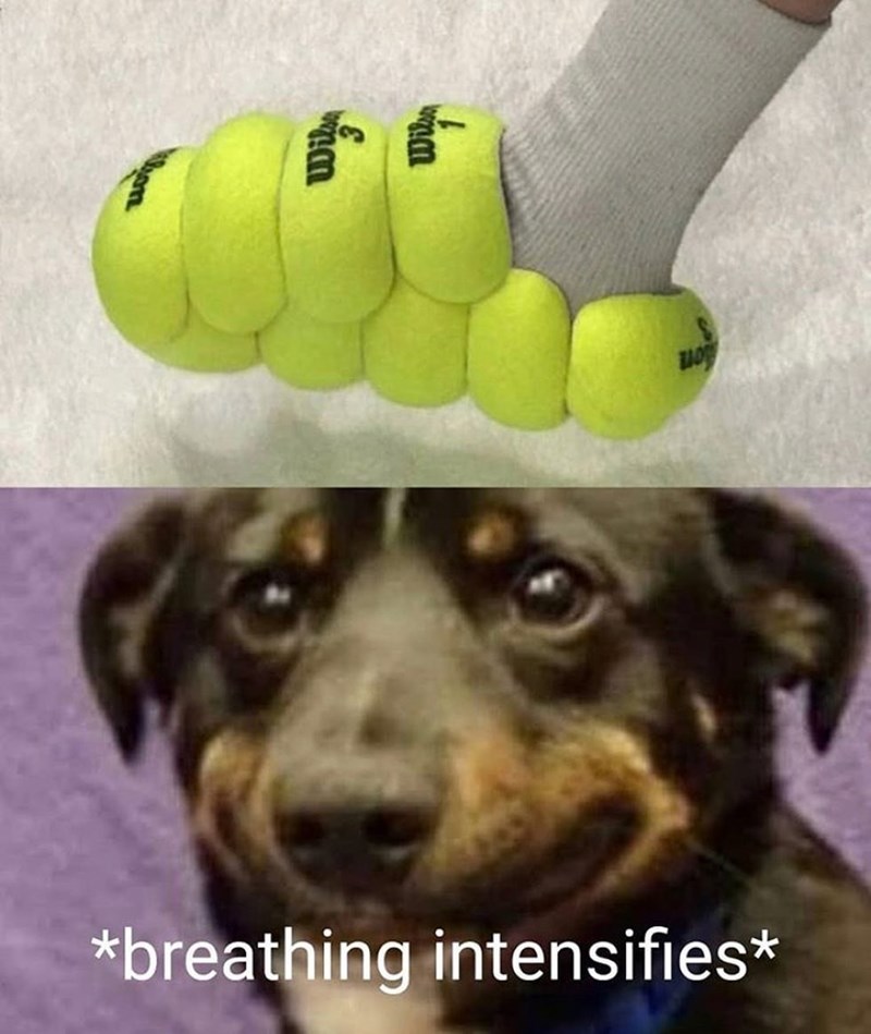 *breathing intensifies*