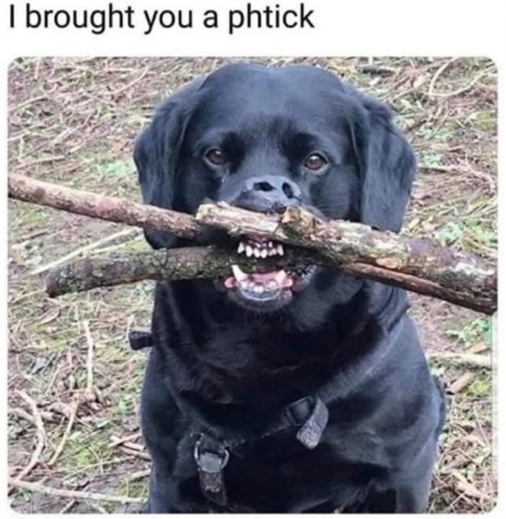 I brought you a phtick