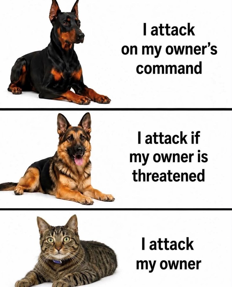 I attack on my owner's command I attack if my owner is threatened I attack my owner