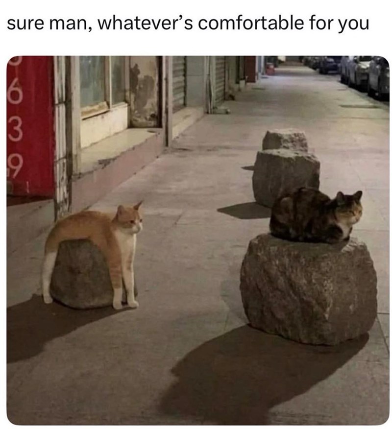 sure man, whatever's comfortable for you 6