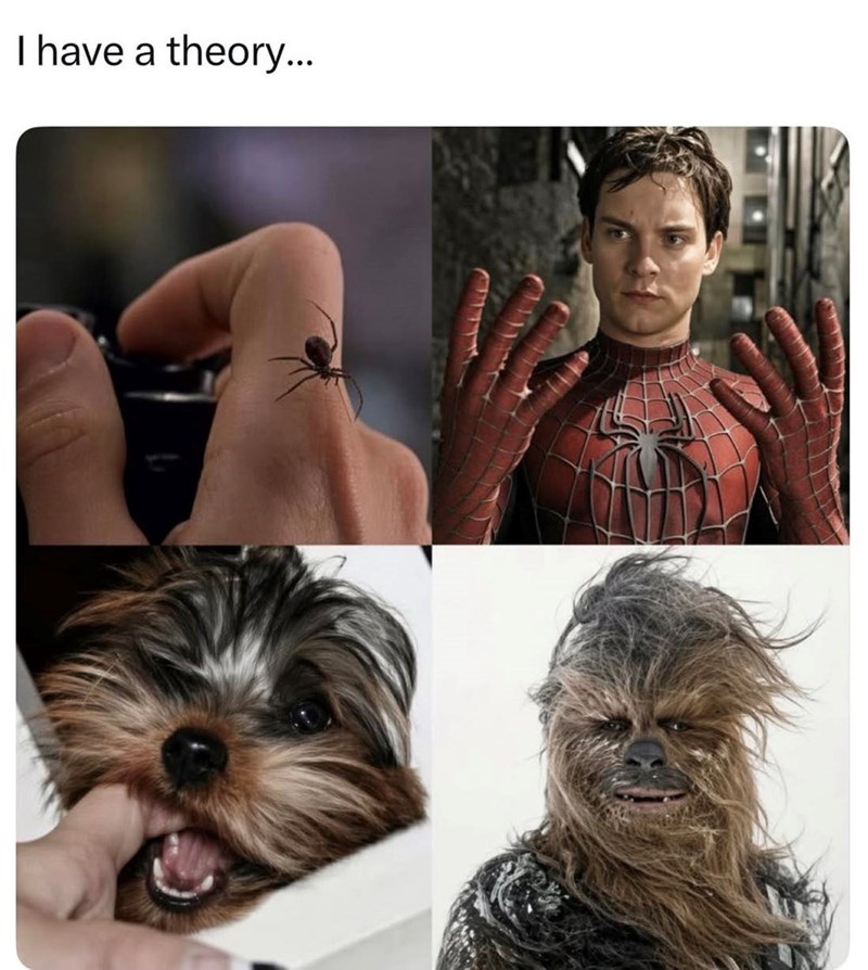 I have a theory...