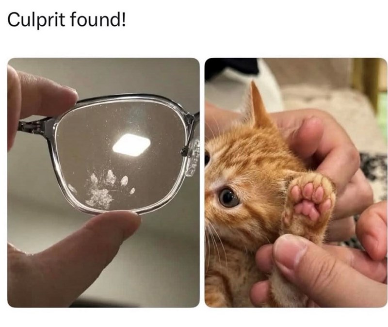 Culprit found!