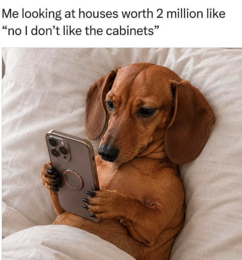 Me looking at houses worth 2 million like "no I don't like the cabinets"