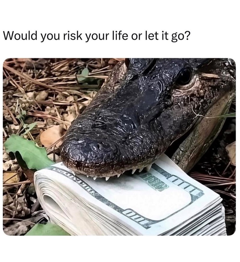 Would you risk your life or let it go?