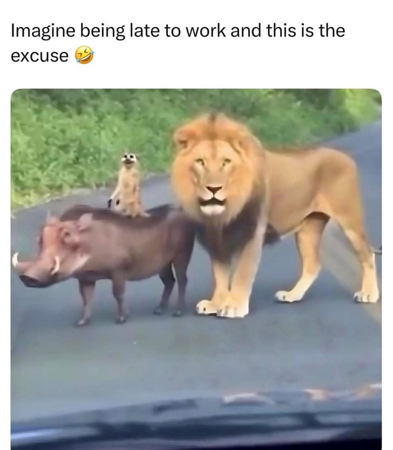 Imagine being late to work and this is the excuse
