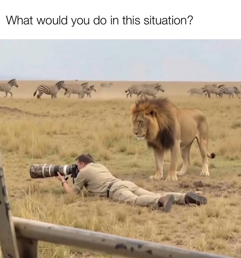 What would you do in this situation? AN