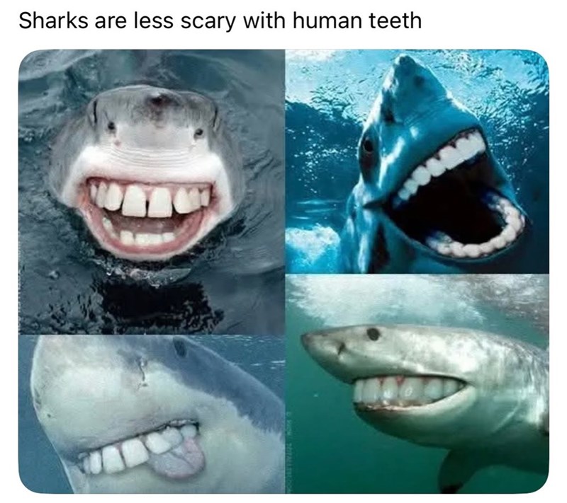 Sharks are less scary with human teeth