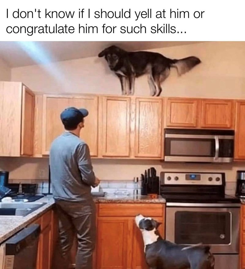 I don't know if I should yell at him or congratulate him for such skills...