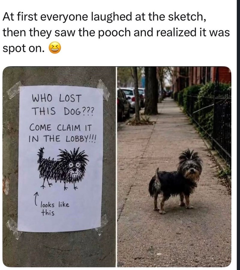At first everyone laughed at the sketch, then they saw the pooch and realized it was spot on. WHO LOST THIS DOG??? COME CLAIM IT IN THE LOBBY!!! looks like this